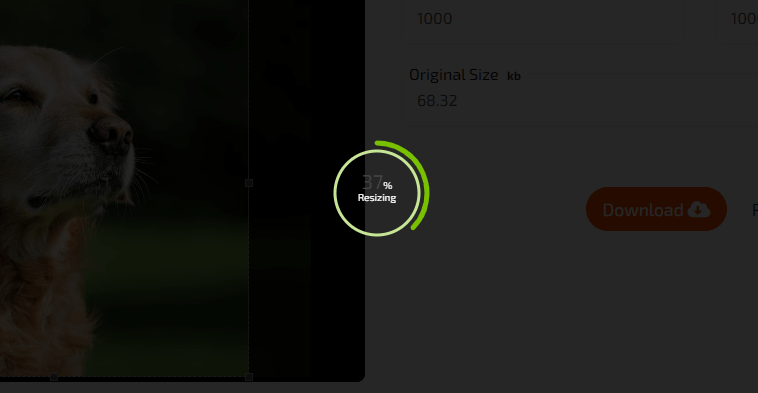 How To Use Plotterwave Free Online Image Resizer Tool
