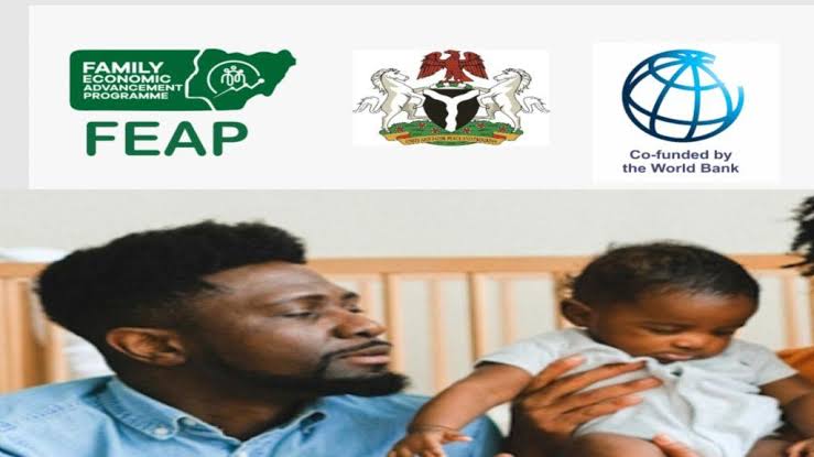 5 Things You Need To Know Before Applying For N100,000 Monthly FEAP Grant