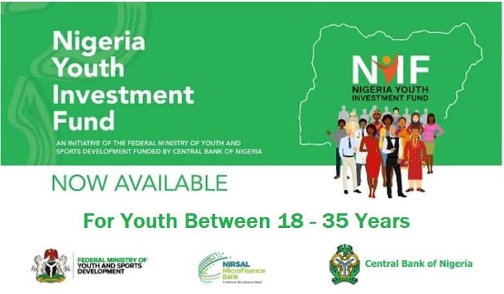 Step-by-Step Guide To NYIF Loan Application Portal