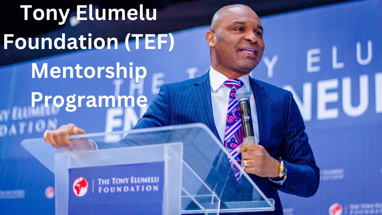 How To Apply For Tony Elumelu Foundation (TEF) Mentorship Programme 2024