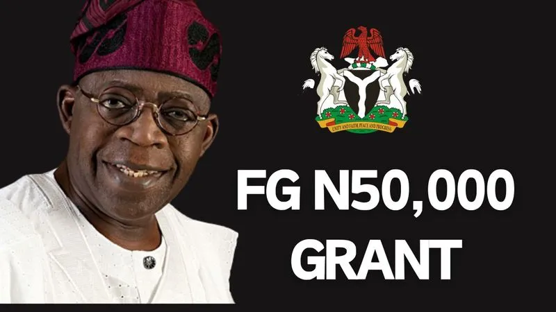 NCHSP 50k Grant vs PCGS 50k Grant: Which Offers More Relief To Nigerians?