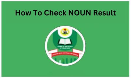 How To Check NOUN Result