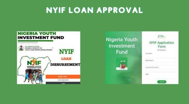 Steps To Take After Applying For 2024 NYIF Loan