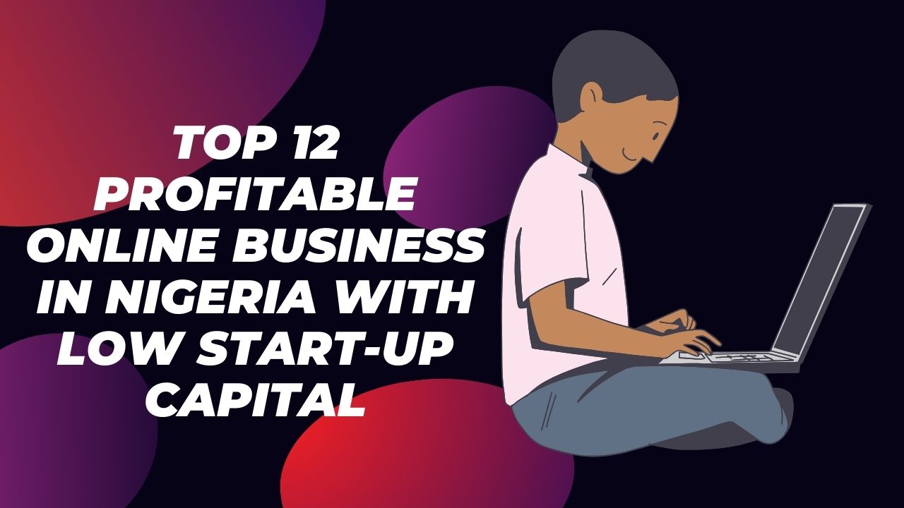 Top 12 Profitable Online Business In Nigeria With Low Start-Up Capital