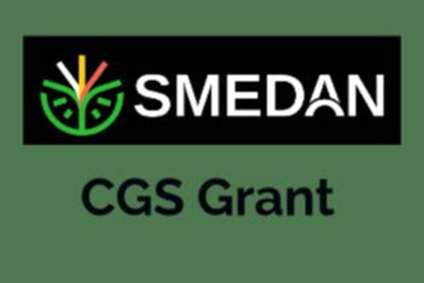 How To Apply For FG SMEDAN CGS N50,000 Grant