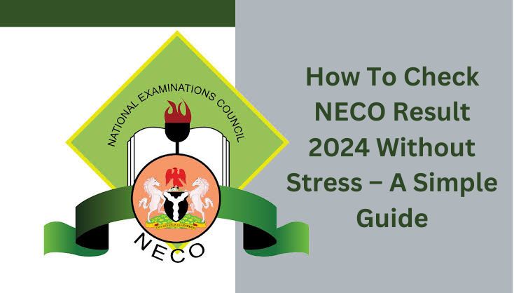 How To Check NECO Result 2024 Without Stress – A Simple Guide