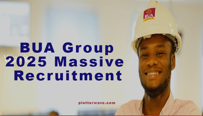 Apply For BUA Group 2025 Massive Recruitment