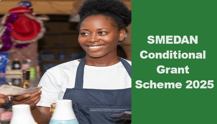 SMEDAN 250000 Small Business CAC Free Registration