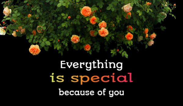 everything is special love card