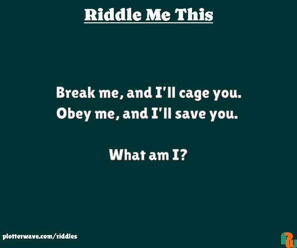 Break me, and I’ll cage you. Obey me, and I’ll save you.   What am I?