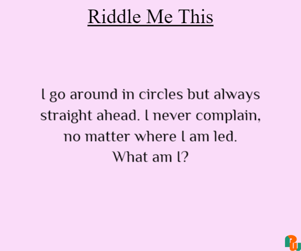 I go around in circles but always straight ahead. I never complain, no matter where I am led. What am I?