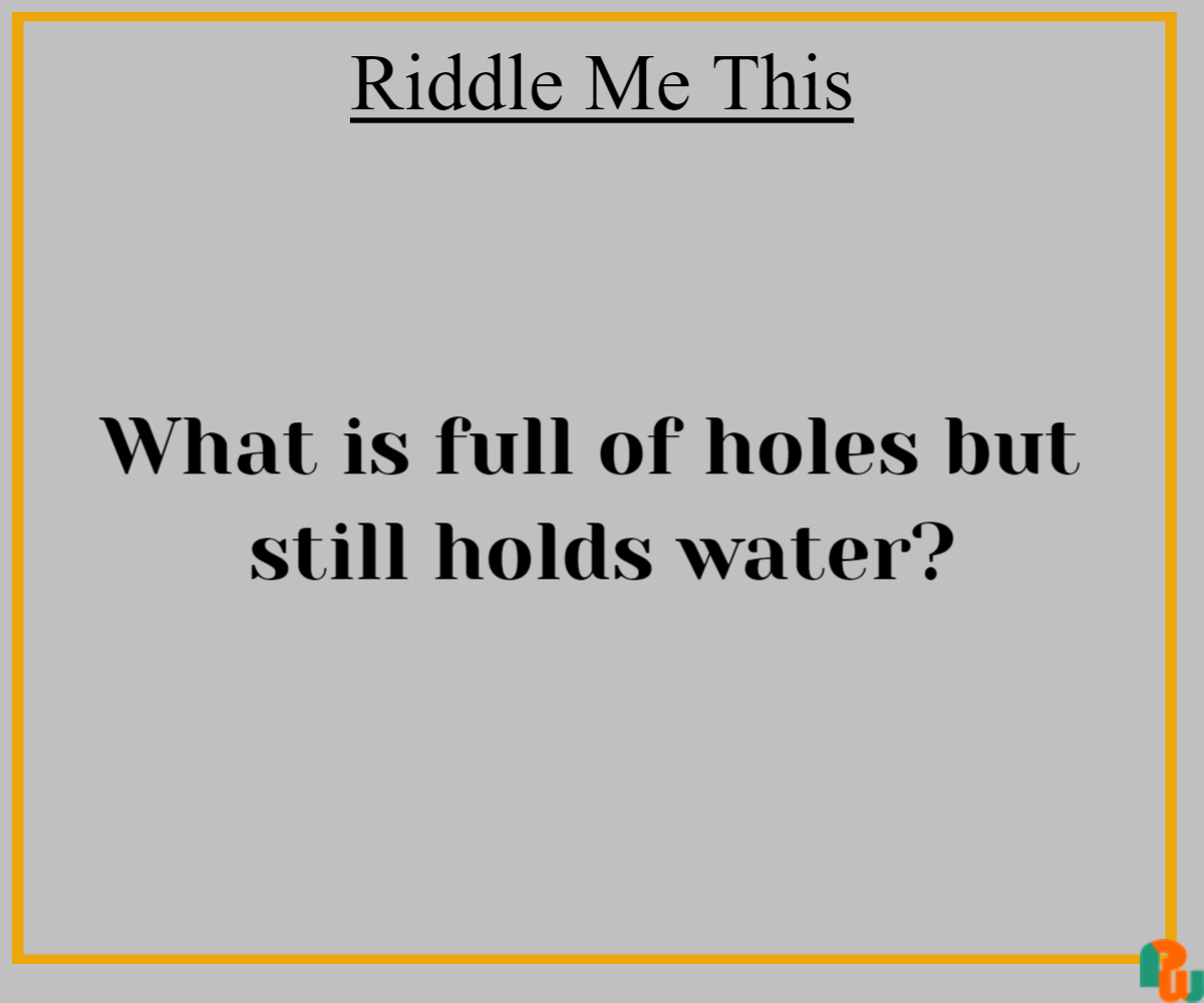 What Is Full Of Holes But Still Holds Water