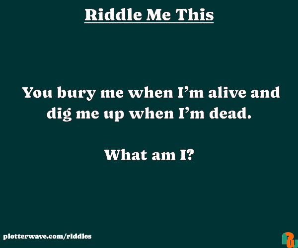 You bury me when I’m alive and dig me up when I’m dead.  What am I?